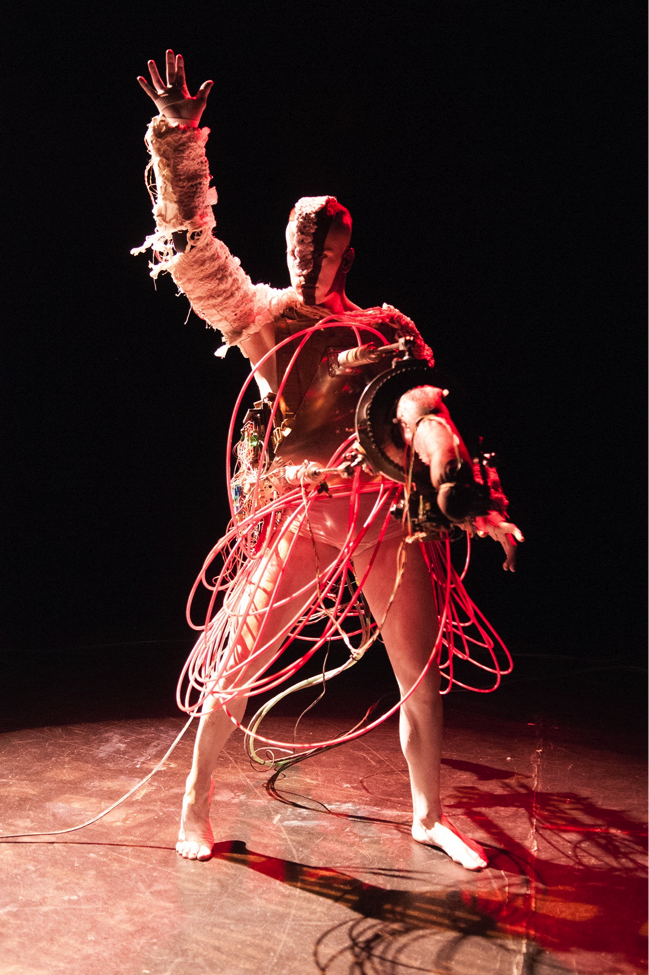 Fig. 2: Doo-Sung Yoo, Vishtauroborg Version 2.6, 2012, robotic devices and cow tongues, (photograph ©2012 Cameron Sharp)