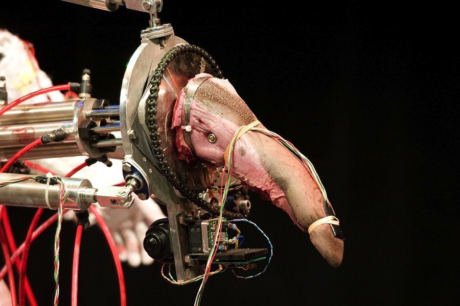 Fig. 3: Doo-Sung Yoo, Vishtauroborg Version 2.0, 2011, robotic devices and cow tongues, (photograph ©2011 Tony Shumski)