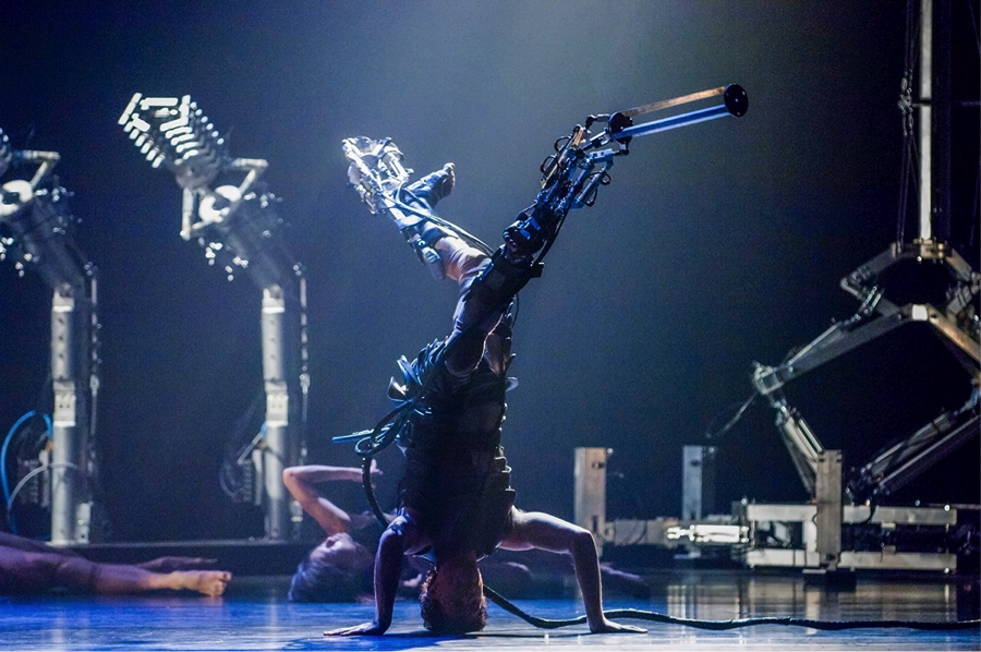 Fig. 9: Louis-Philippe Demers, Devolution, 2006, (photograph © 2006 Chris Herzfeld Camlight Productions)