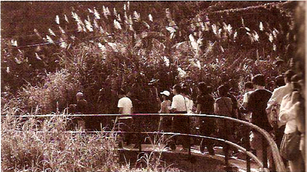 Fig. 3.2 suzuki_TungO_1