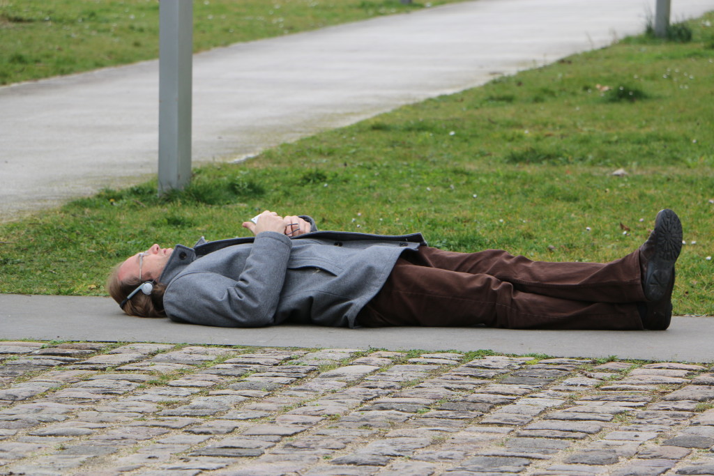 Fig. 3: Murmures Urbains à Chalon-sur-Saône (F) / 20140226.